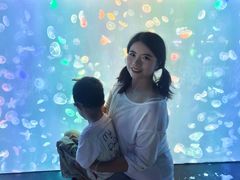 -烟台海昌鲸鲨海洋公园