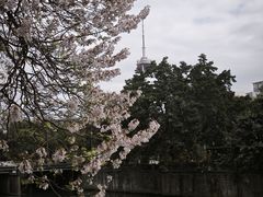 -成都市活水公园