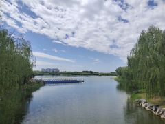 -大兴滨河森林公园