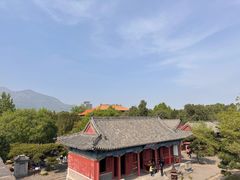 -许家炒鸡店(清真寺街店)