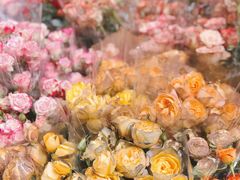 -循礼门鲜花花市(武汉循礼门店)