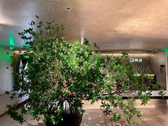 -隐溪茶馆(静安寺店)