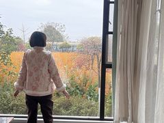 -洪湖家庭农场·团建·露营·会议