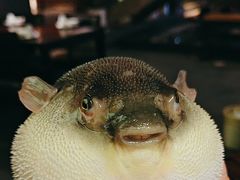 -永安鱼庄·镇江菜(东吴路店)