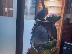 -竹雀古法采耳(青岛麦凯乐店)