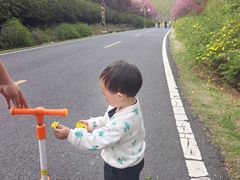 -宜兴龙背山森林公园