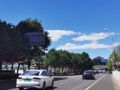 -Shake Shack(西单大悦城店)