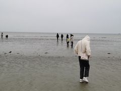 -江山半岛白浪滩景区
