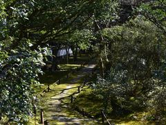 -西芳寺(苔寺)