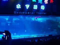 -泉城欧乐堡海洋极地世界
