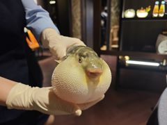 -肆月河豚·淮扬菜·湘菜(华天店)