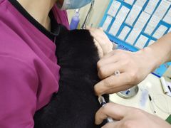 -瑞鹏动物医院宠美康(扬子江路分院)