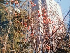 -木塔寺遗址生态公园