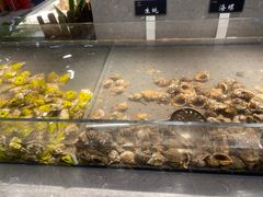 -和谐号蒸汽海鲜烤肉自助餐厅(欧亚新生活店)