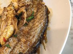 -厝包四点金·潮宴(太古仓店)