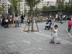 -回龙观体育文化公园