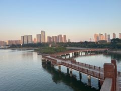 -五缘湾湿地公园