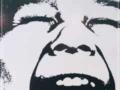 -麦当劳(深圳北站高铁店)