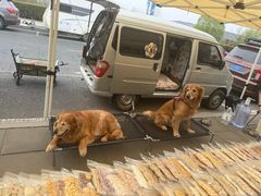 -莫子山公园