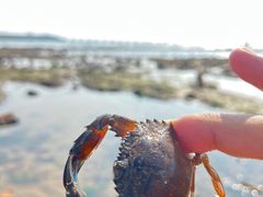 -青岛第三海水浴场