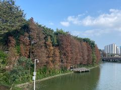 -顺峰山公园