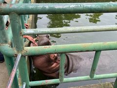 -宿豫区运河湾森林动物园