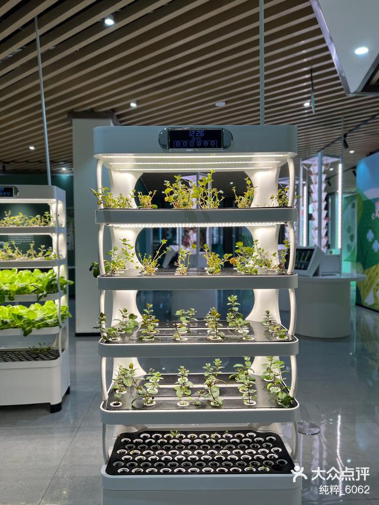 带孩子去种子博物馆吧!-大众点评