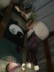 -琦品高端美容SPA会所