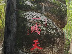 -汤旺河林海奇石景区