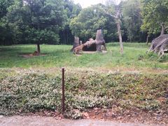 -杭州野生动物世界