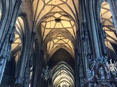 -斯蒂芬主教座堂(Stephansdom)