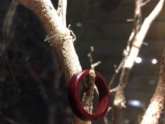 -三千·银饰木艺体验订制