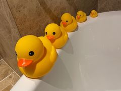 -青岛西海岸隆和福朋喜来登酒店