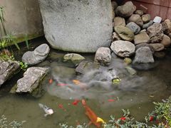 -寇家大院
