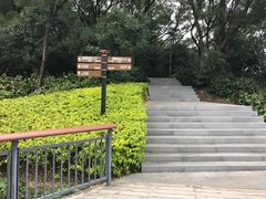 -金鸡山公园