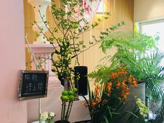 -蝶舍·MAISON PAPILLON