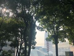 -重庆市江北嘴中央商务区中央公园