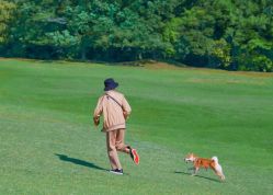 -大望京儿童游乐场