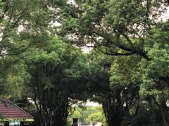 -昆山城市生态森林公园