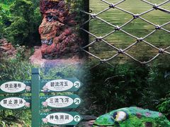 -南海湾森林生态园