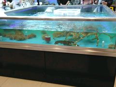水产区-盒马鲜生(宝地店)