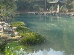 SNV85464-灵栖洞天