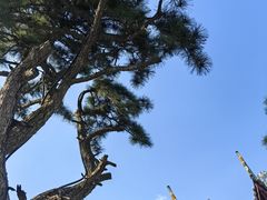 -龙华寺
