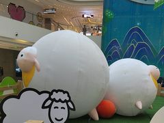 -阳光天地