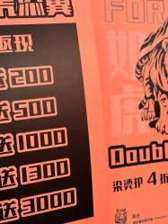 -IDOL-PLUS