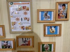 -宠物兔专门店(天丰利市场店)