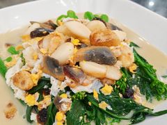 -红星光发煲仔饭(文海店)