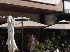 -沙丘咖啡DUNE COFFEE(深业水松大厦店)