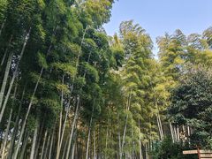-杭州黄龙洞