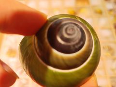 -摩登百货(岗顶店)